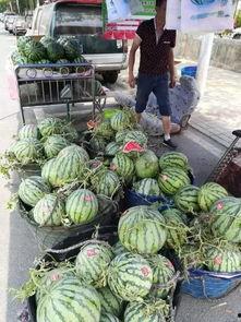 汕头日常吃瓜事件