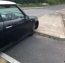 金星出车祸 吃瓜,娱乐圈风云再起,吃瓜群众围观热议