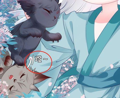 涂山狐吃瓜,一场穿越时空的吃瓜盛宴