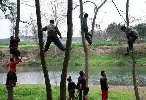 女装店吃瓜爬树,吃瓜爬树，揭秘日常生活中的趣味瞬间