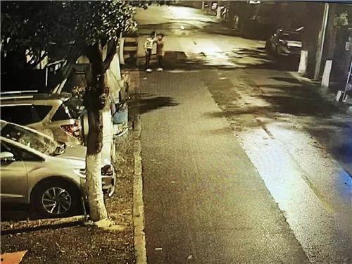 吵架吃瓜路人合集,吵架吃瓜路人合集，揭秘日常冲突背后的众生相