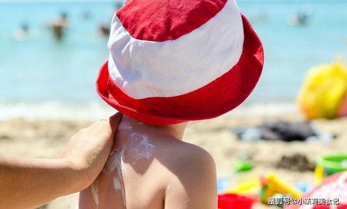 巧吃五瓜安享度夏,巧食五瓜,安享清凉一夏