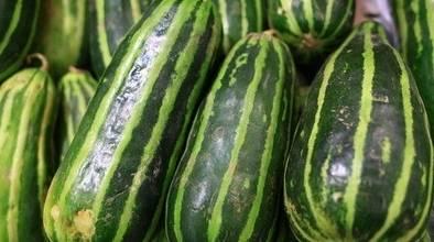 许瓜怎么吃,解锁美味新体验