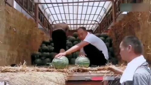 偶遇吃瓜现场2,揭秘娱乐圈幕后风云