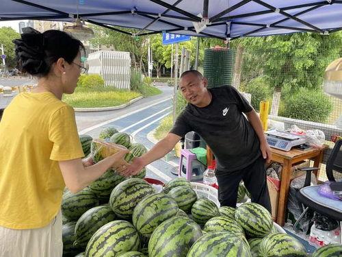 泰山吃瓜群众,揭秘泰山山民的生活百态
