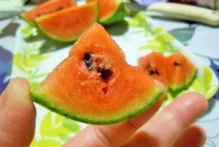 吃瓜来店中国,探寻中国美食文化的独特魅力