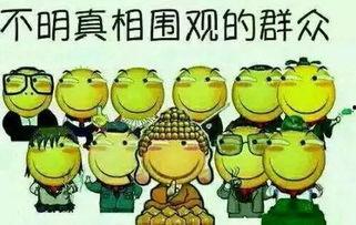 吃瓜年度观察图片,图说娱乐圈风云变幻