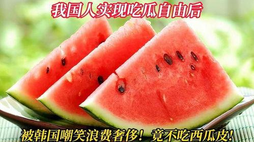 吃瓜自由的国家,各国民众的娱乐盛宴