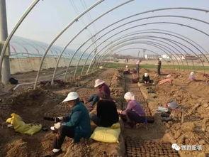 界首吃瓜热门事件,揭秘网络热议背后的真相与反思