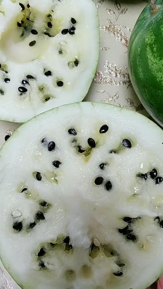 打瓜吃瓜上火吗