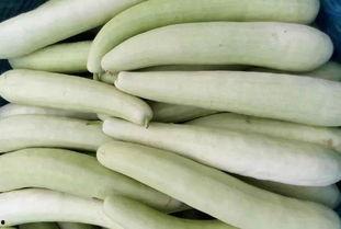 吃白瓜补肾吗,吃白瓜真的能补肾吗?