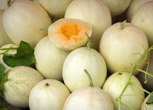 水果白兰瓜怎么吃