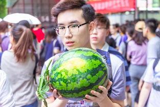 学生免费吃瓜视频,学生免费吃瓜活动欢乐上演