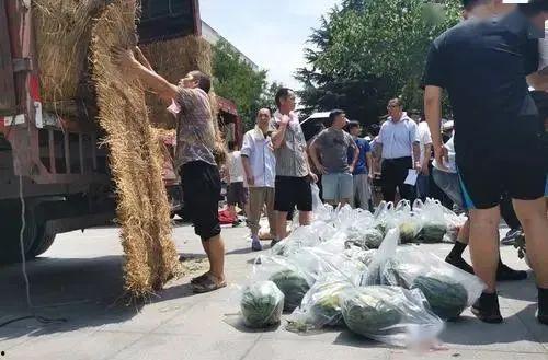 学生免费吃瓜视频,学生免费吃瓜活动欢乐上演