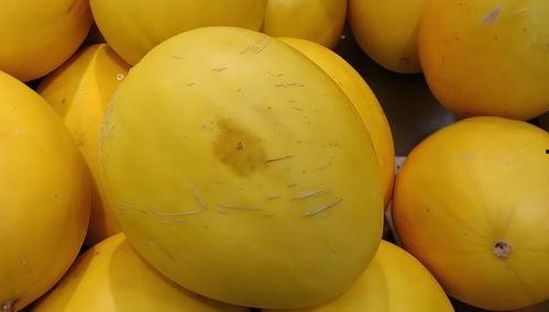 黄了个黄吃瓜,揭秘网络热词背后的文化现象