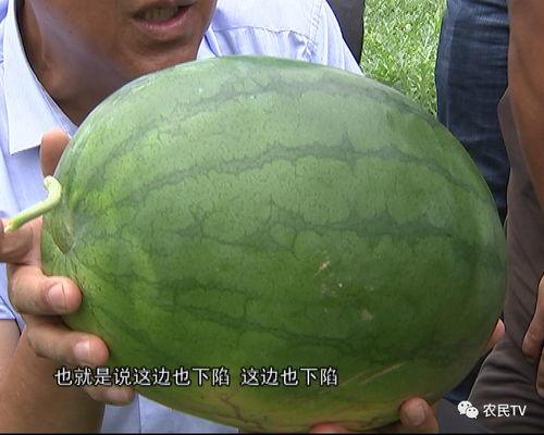 佳和吃瓜,揭秘娱乐圈幕后故事