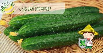 佳和吃瓜,揭秘娱乐圈幕后故事