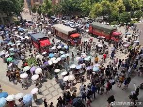 渭南吃瓜群众,吃瓜群众的热议焦点