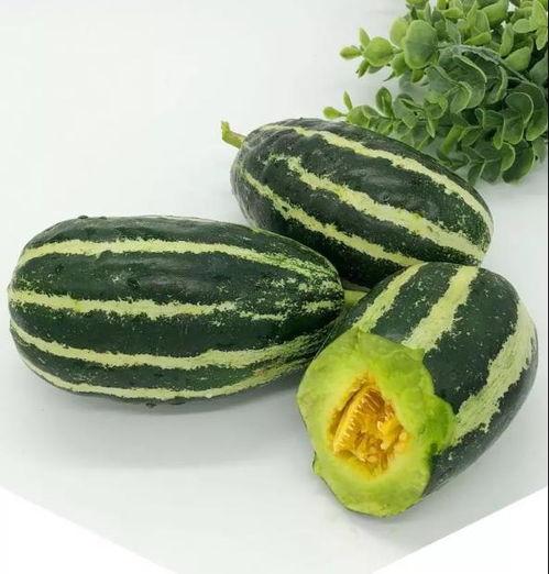 泗水盛吃瓜,瓜果飘香,尽享田园美味时光