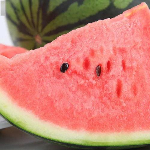 泗水盛吃瓜,瓜果飘香,尽享田园美味时光