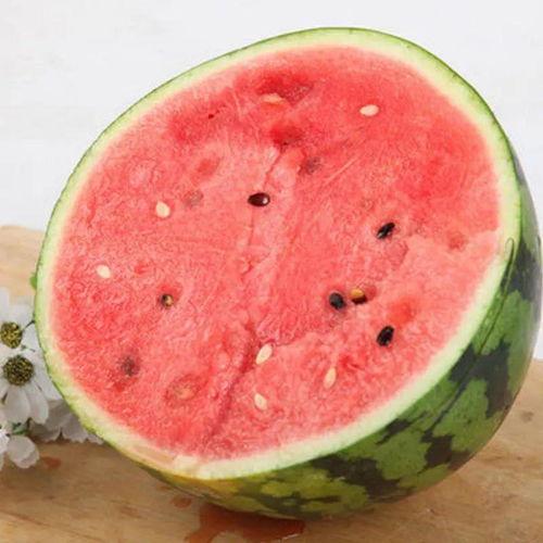 泗水盛吃瓜,瓜果飘香,尽享田园美味时光