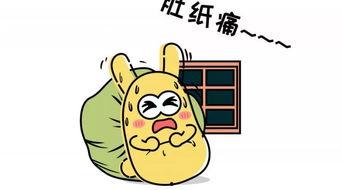 带你吃瓜铁公鸡,网络红人的崛起与争议